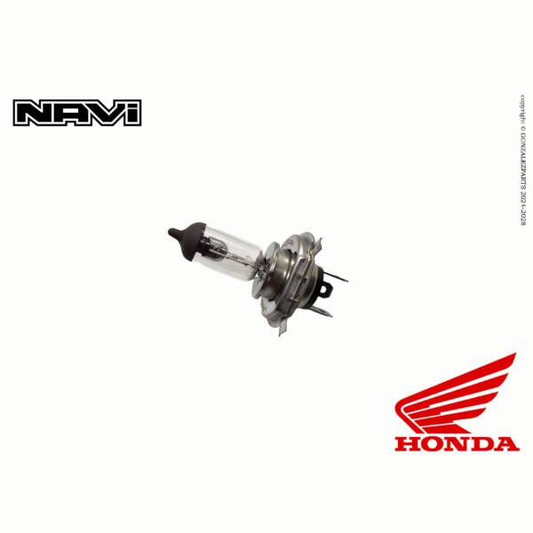 Headlight Bulb 2022-2024 Honda Navi 110B Genuine OEM New 34901-KVN-971